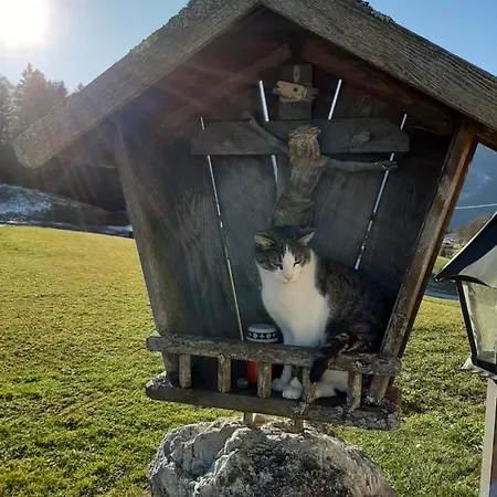Fronwieshof Lägenhet Ramsau bei Berchtesgaden